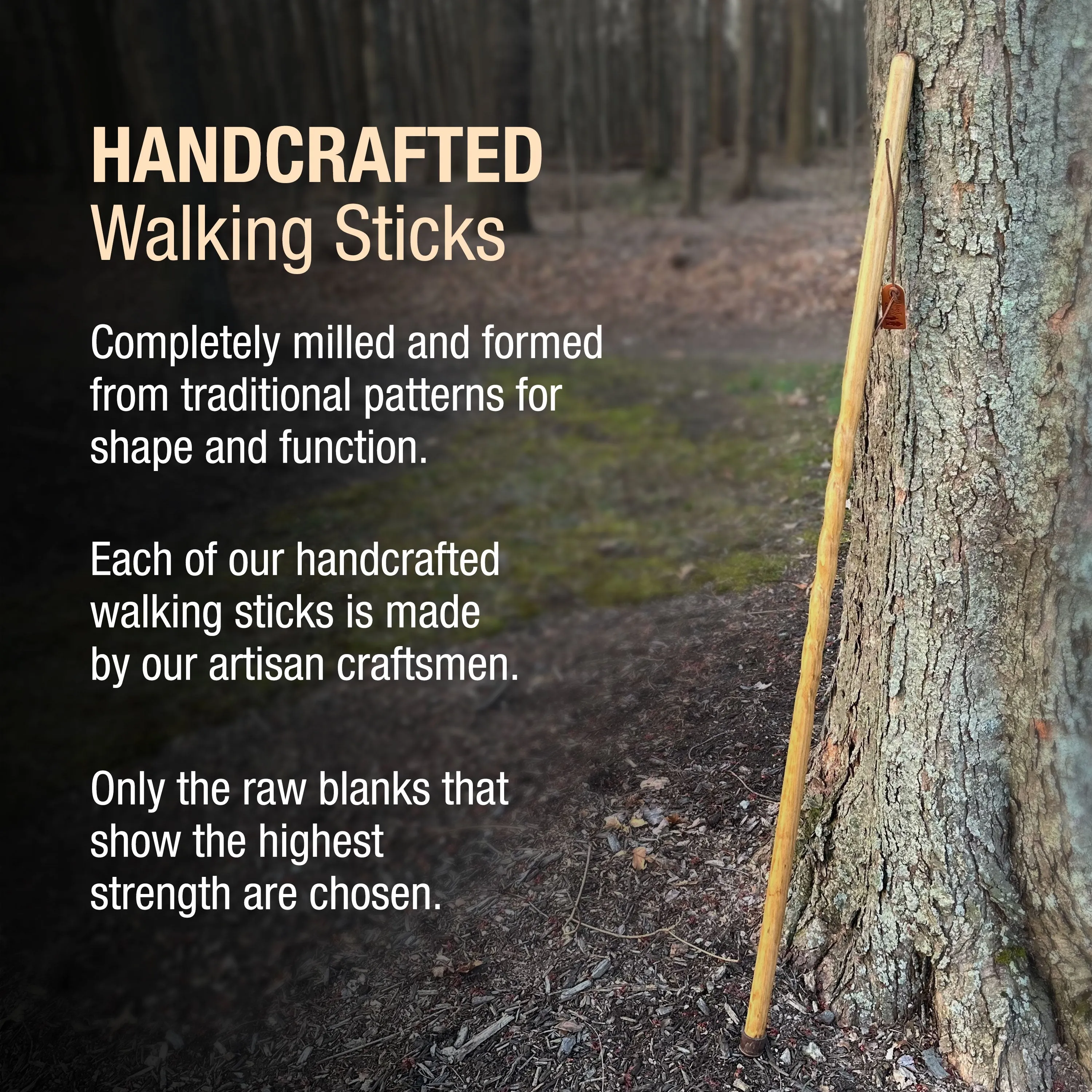 Twisted Pine Handcrafted Walking Stick 55"